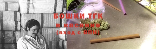 сатива Арсеньев