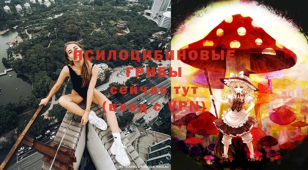 сатива Арсеньев