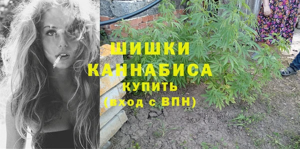 сатива Арсеньев