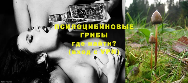 сатива Арсеньев